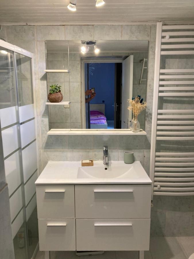 Gite Cosy 25 Min Lyon Vienne St Etienne Longes Exterior foto